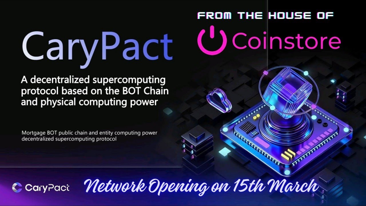 CaryPact / BOT Chain 분석 보고서